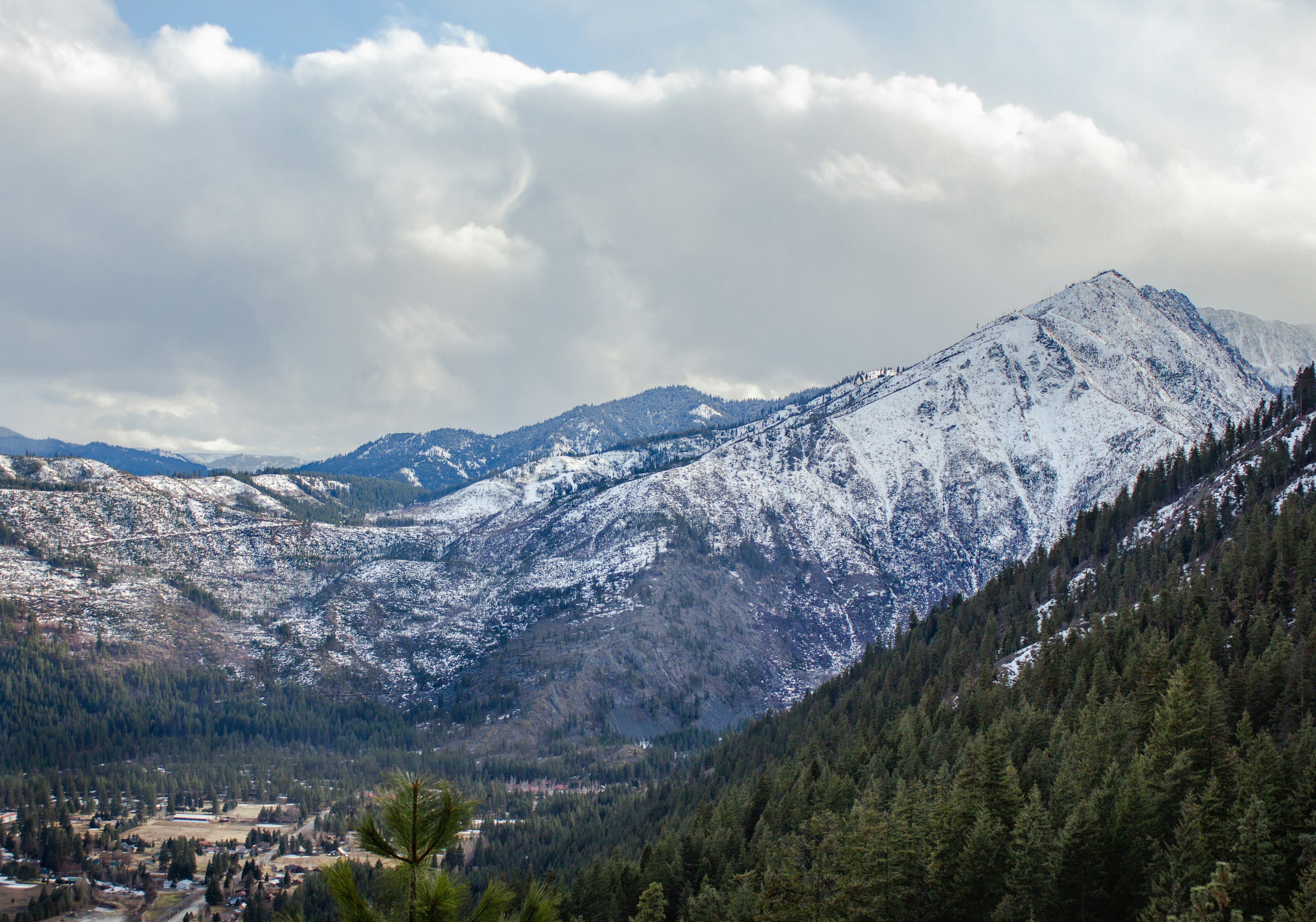 green trees near snow covered mountain under cloudy sky during daytime