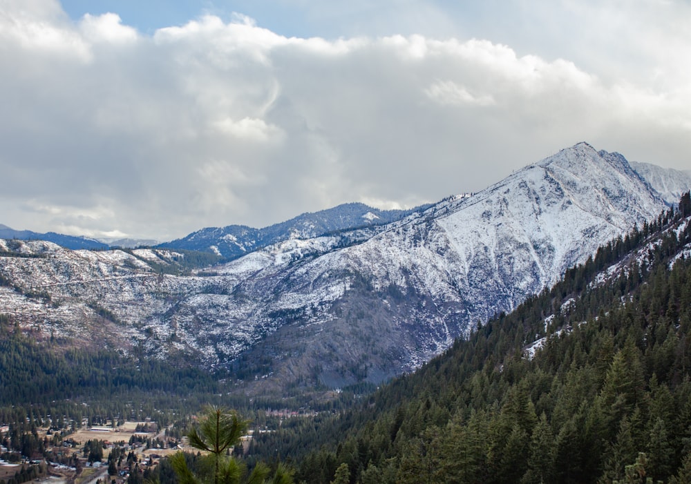 green trees near snow covered mountain under cloudy sky during daytime