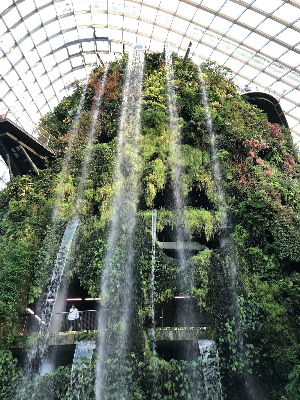 green trees in white building