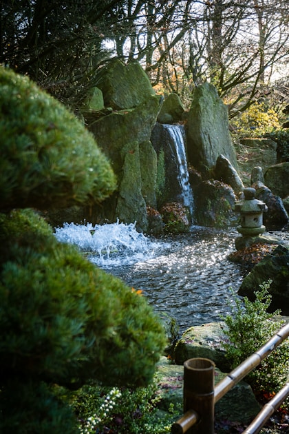 Naturteich anlegen planung kosten tipps — step-by-step visual example