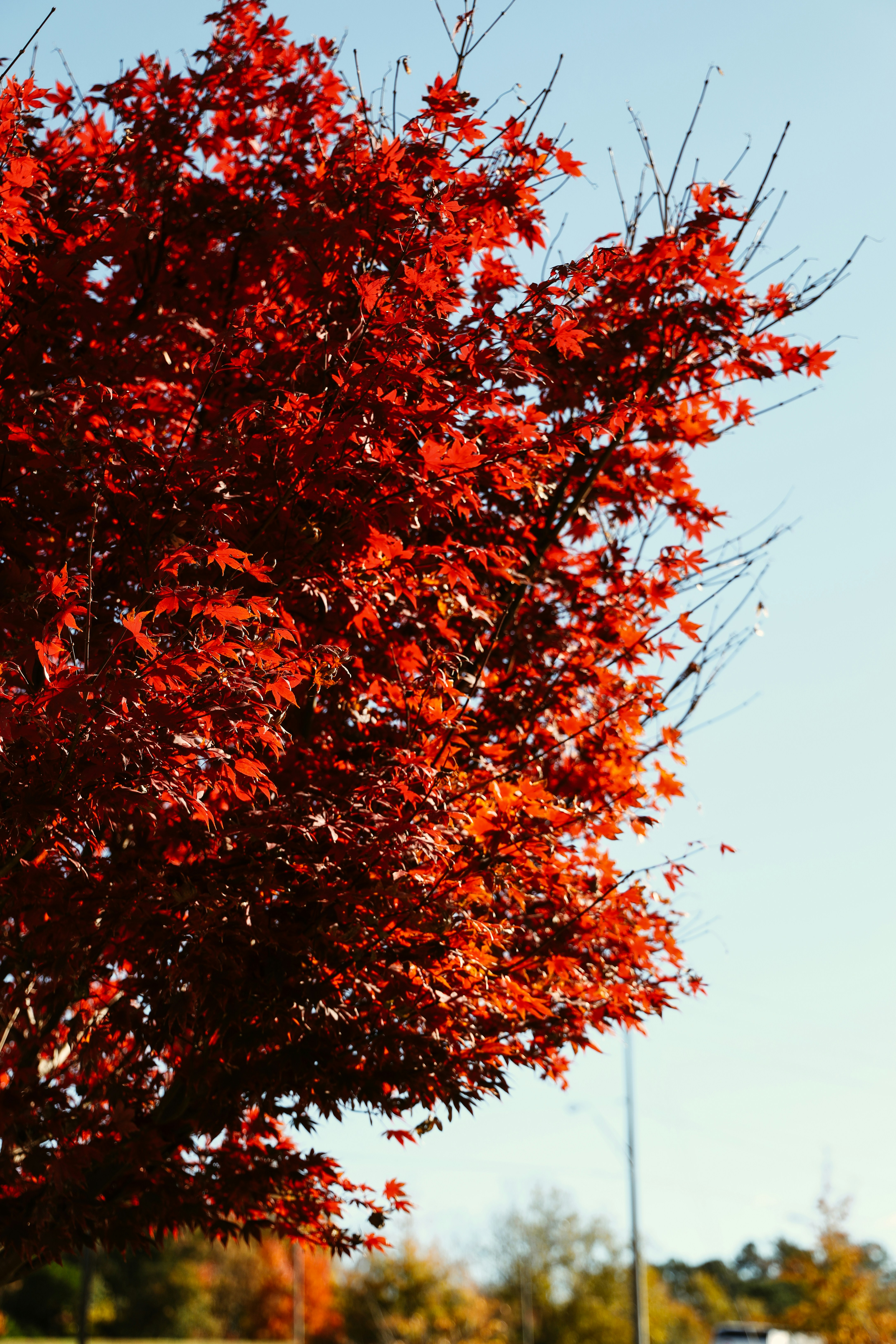 Photo by luismorerat