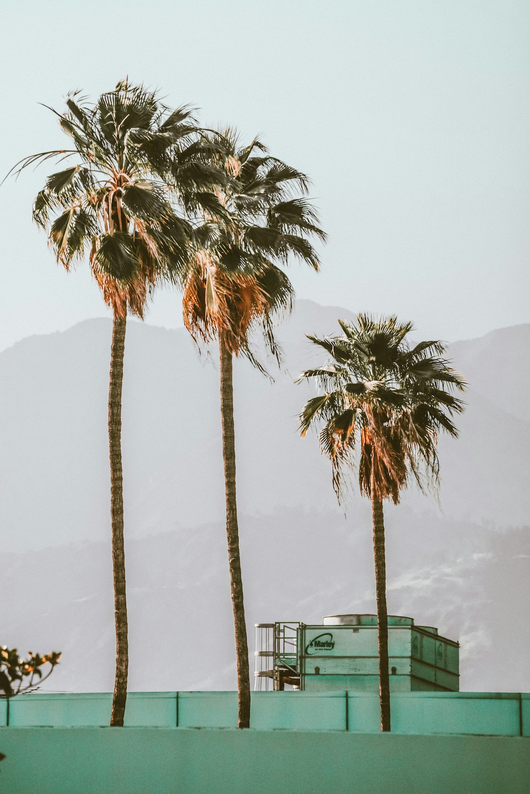 green and white bus on road during daytime