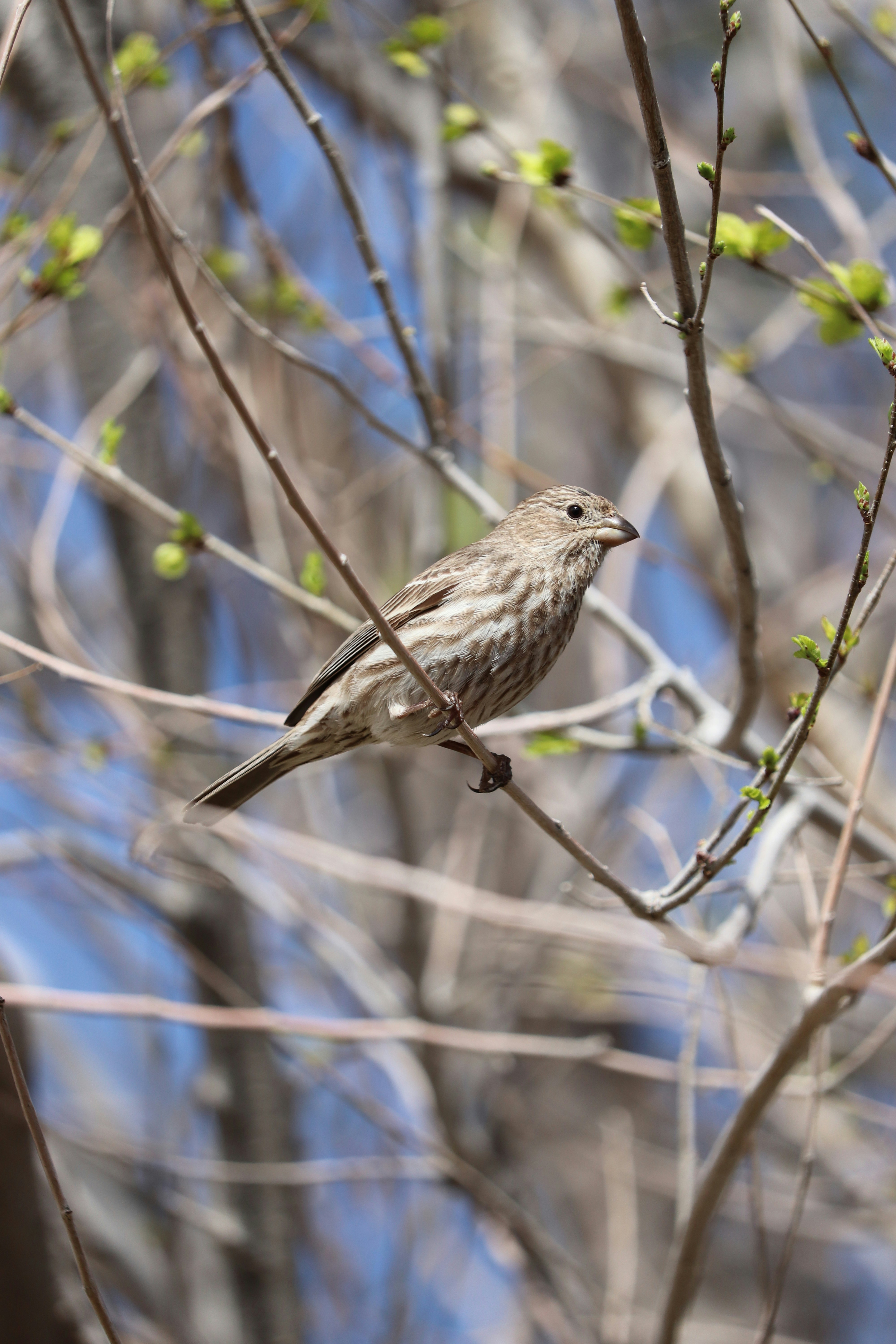 Photo by abimaelahumada