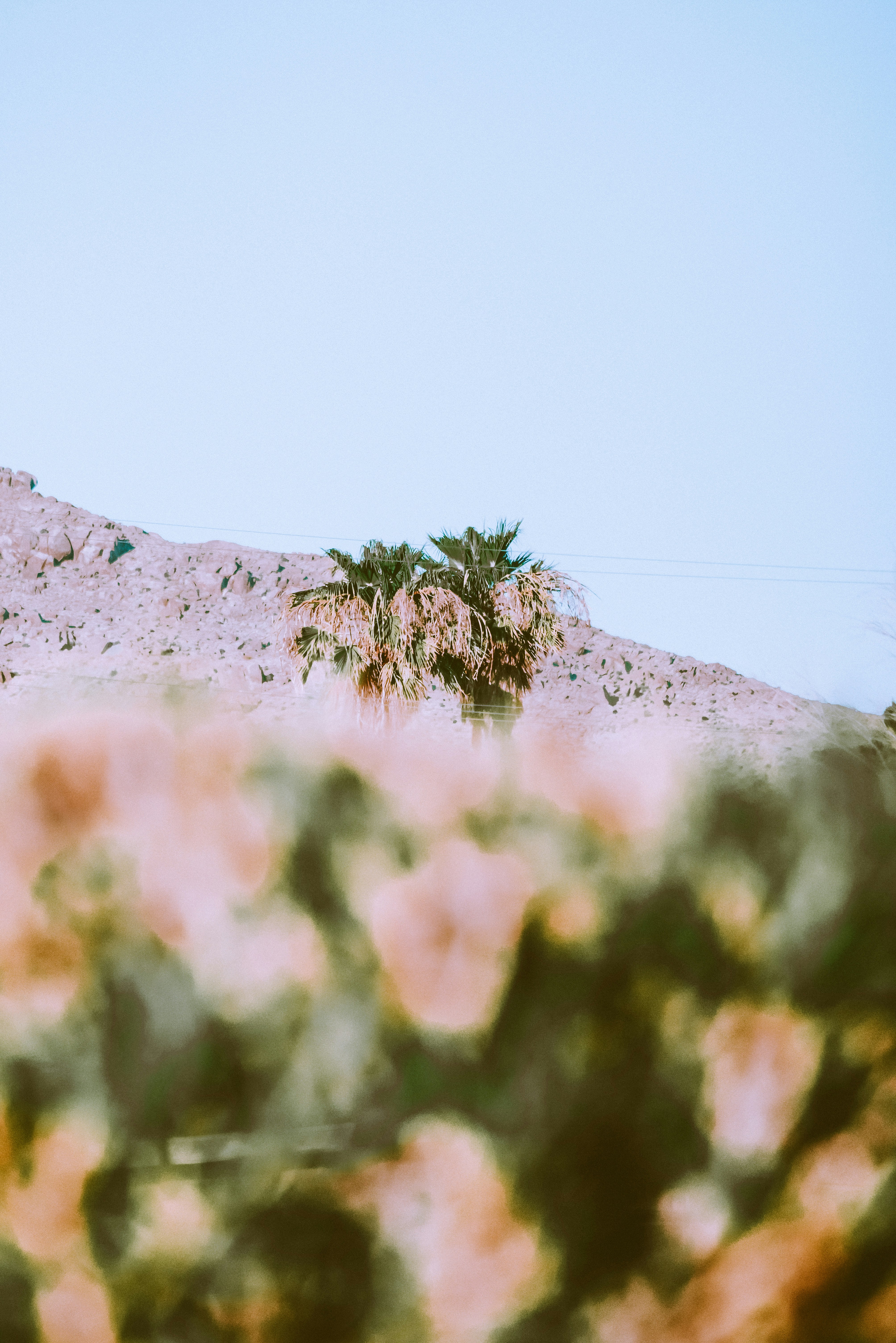 Photo by framesforyourheart