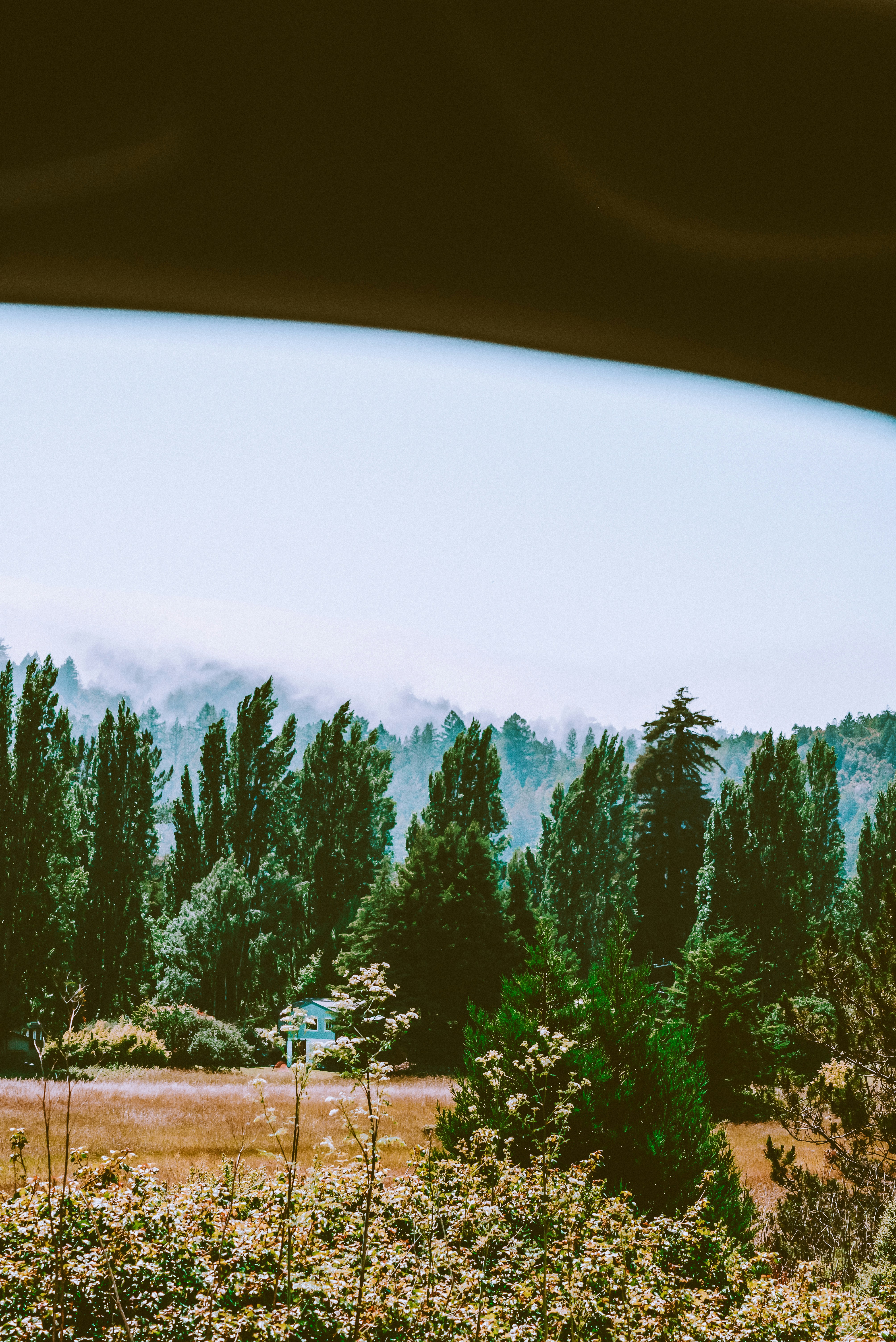 Photo by framesforyourheart