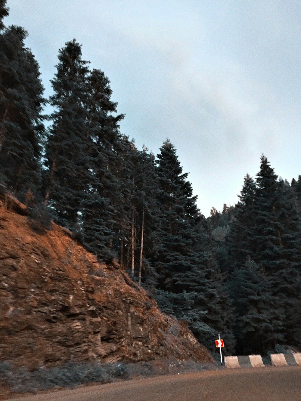 green pine trees on brown mountain under gray sky