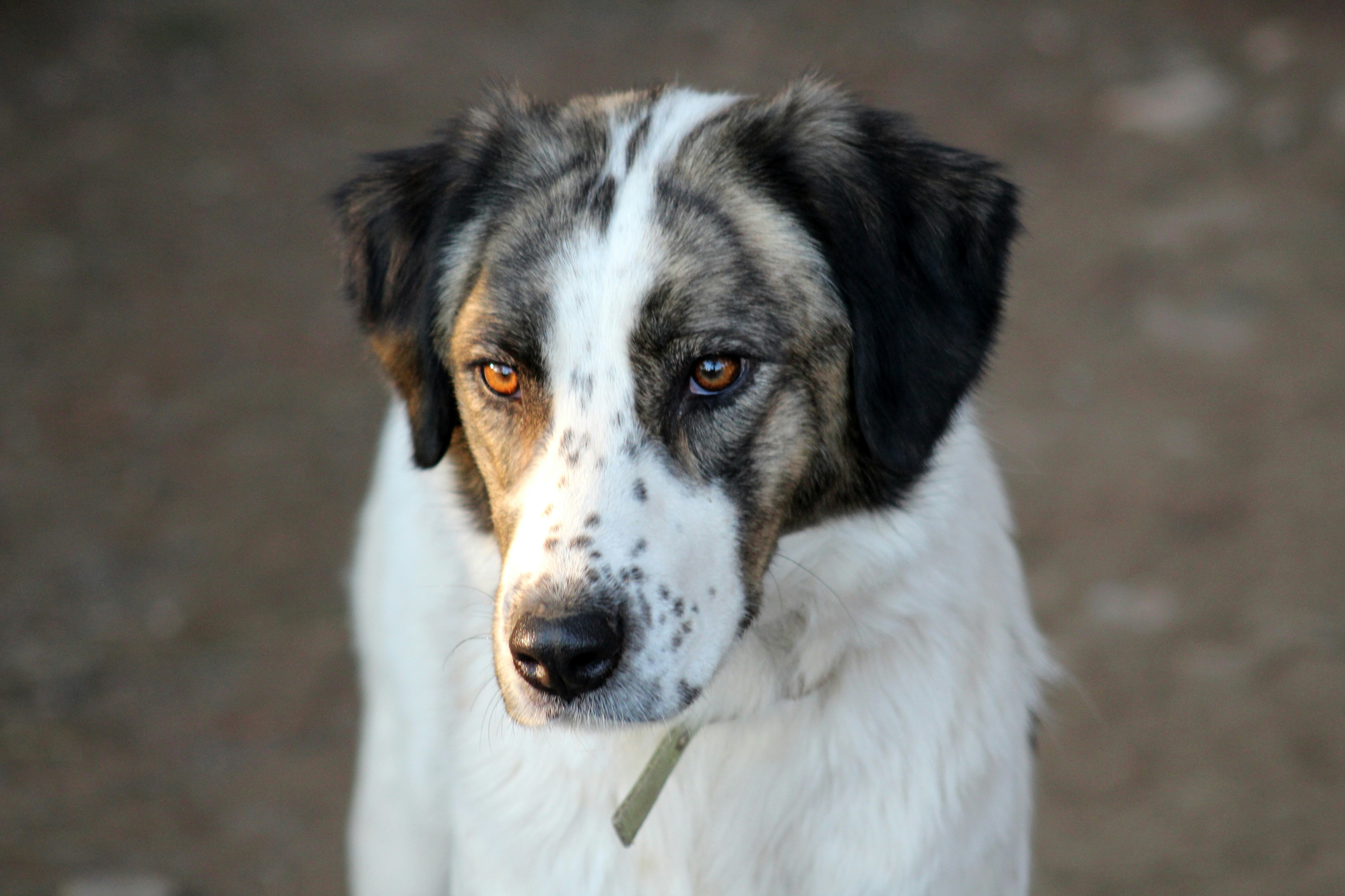 Photo by margaritakosior