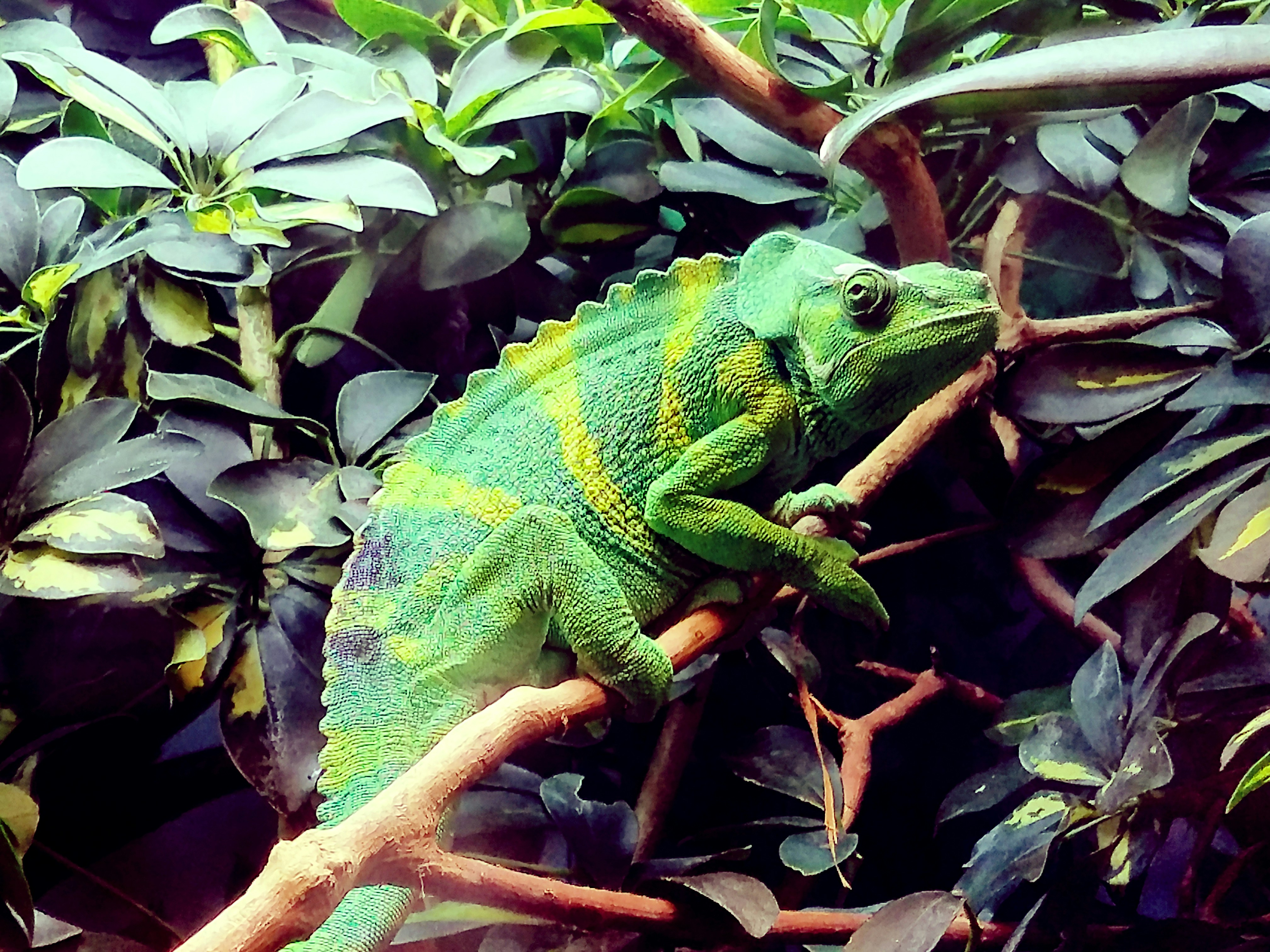 Photo by infinitycore