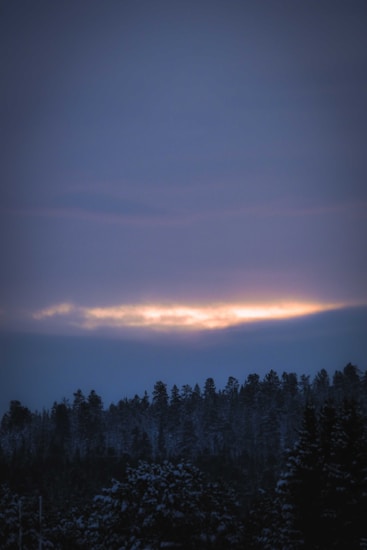 A serene landscape featuring a dark, shadowy forest beneath a cloudy, twilight sky. A thin strip of light breaks through the clouds, casting an ethereal glow across the horizon.