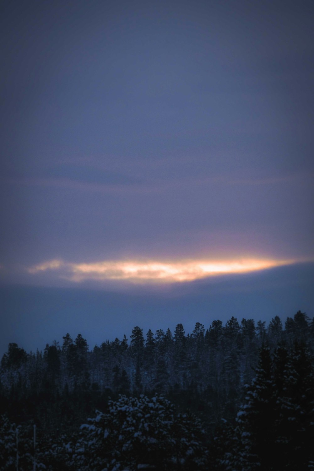 green pine trees under cloudy sky during daytime