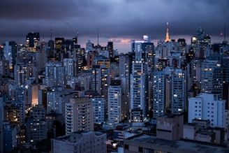 city skyline under gray cloudy sky during daytime