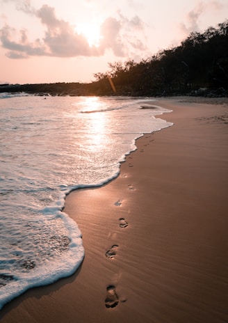 A playful snapshot of footprints in the sand leading towards a glowing sunset over the ocean.