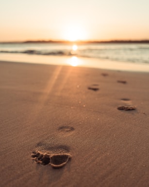 brown sand on beach during sunset