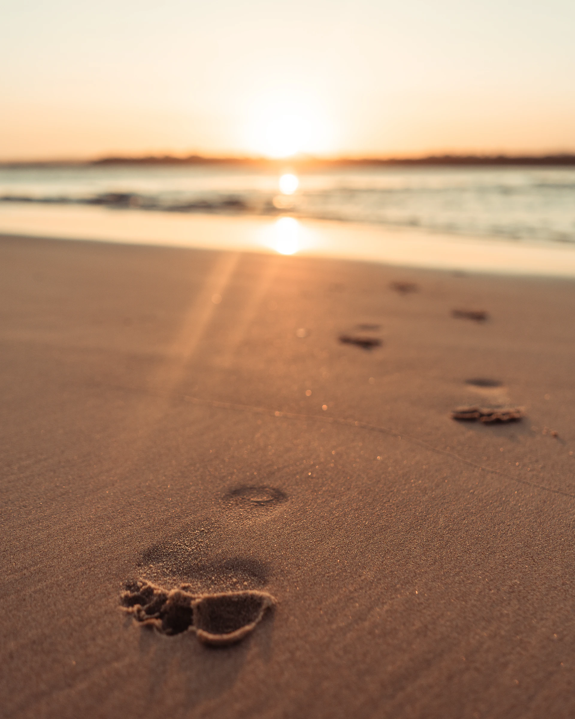 brown sand on beach during sunset