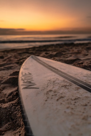 Close-up of a surfboard leaning against a palm tree on a quiet beach at sunset.