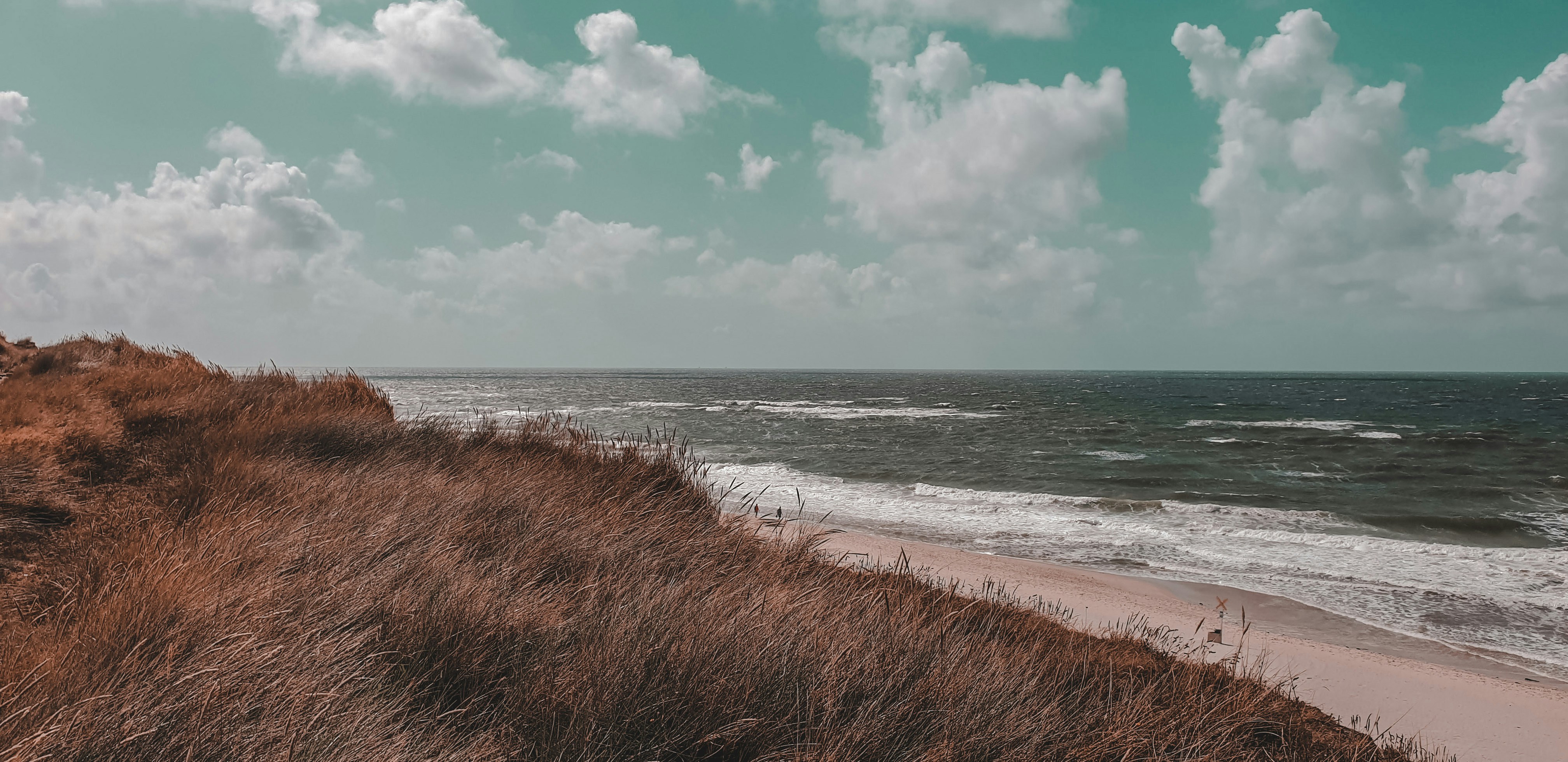 Photo by l4ssy1881