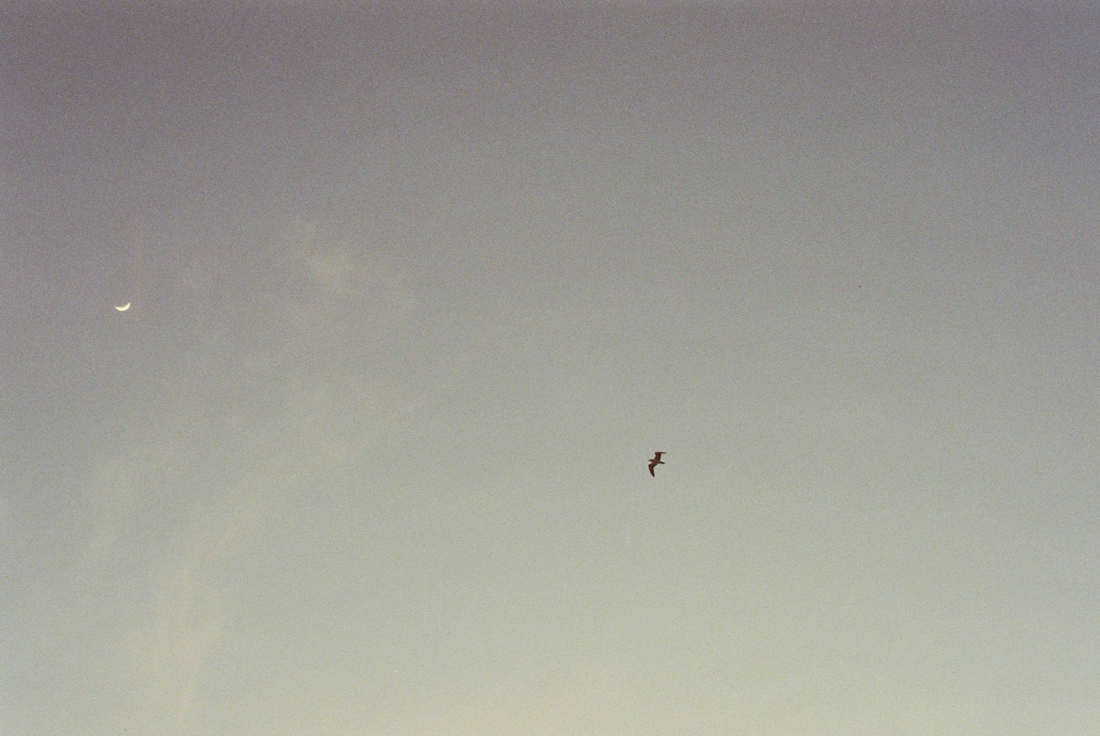 Photo by relentlessjpg