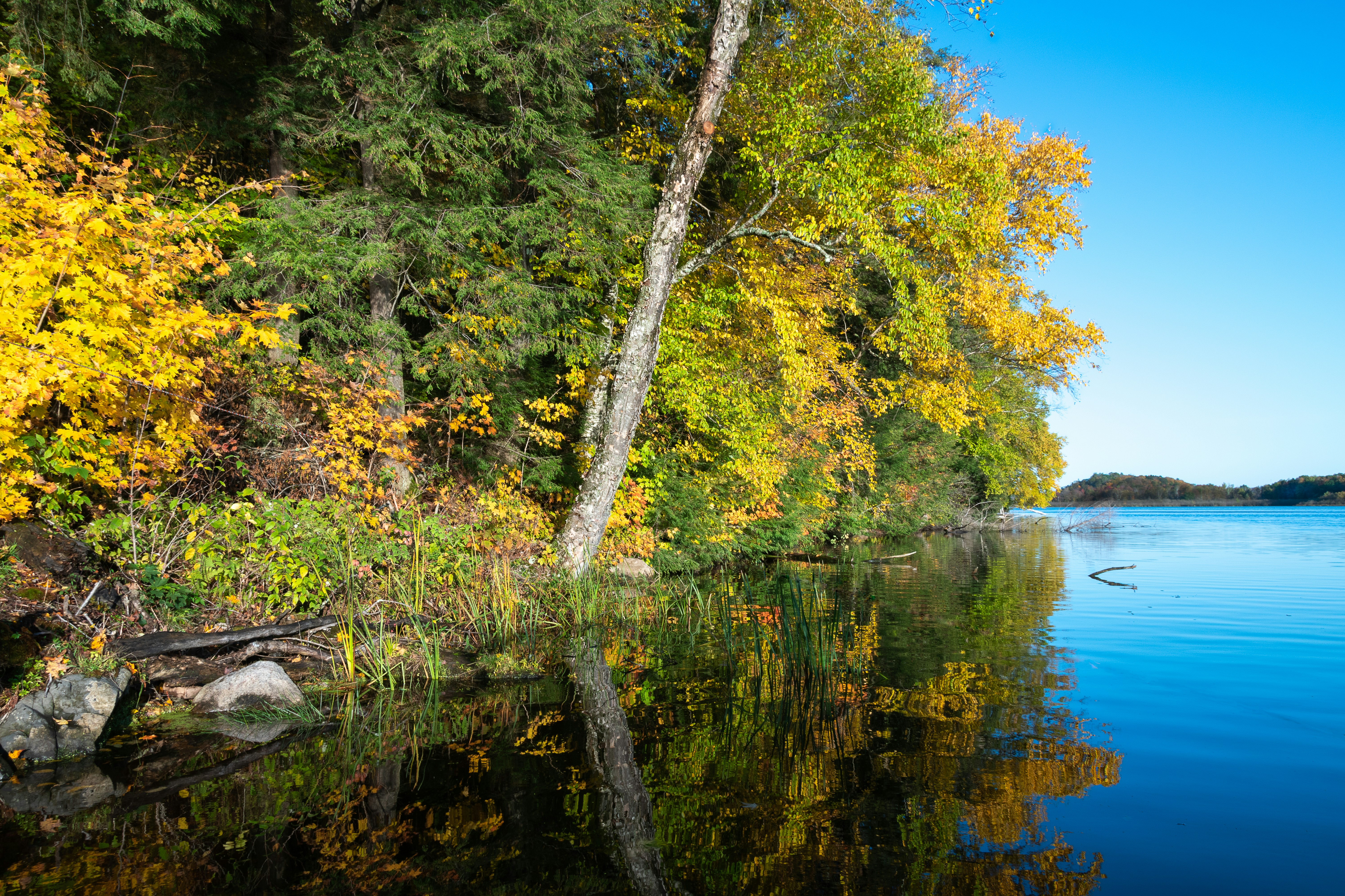 Photo by stephanielynnephotography