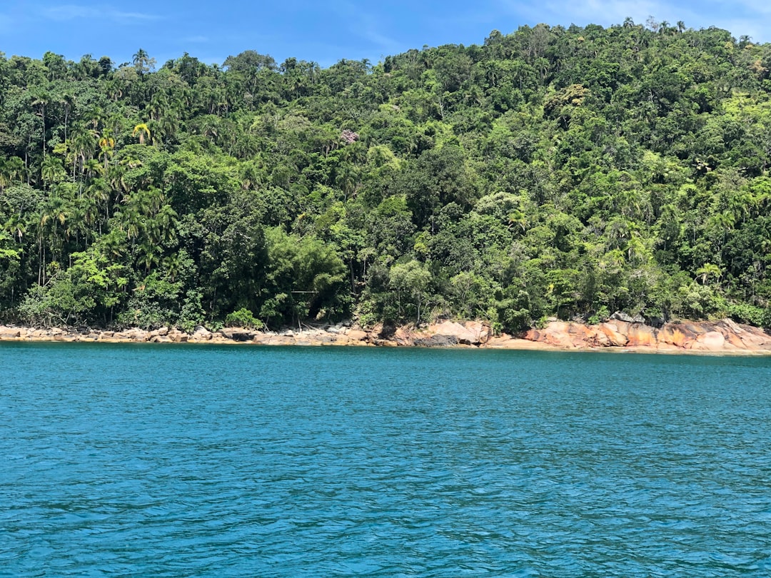 Nature reserve photo spot Atlantic Ocean Brasil