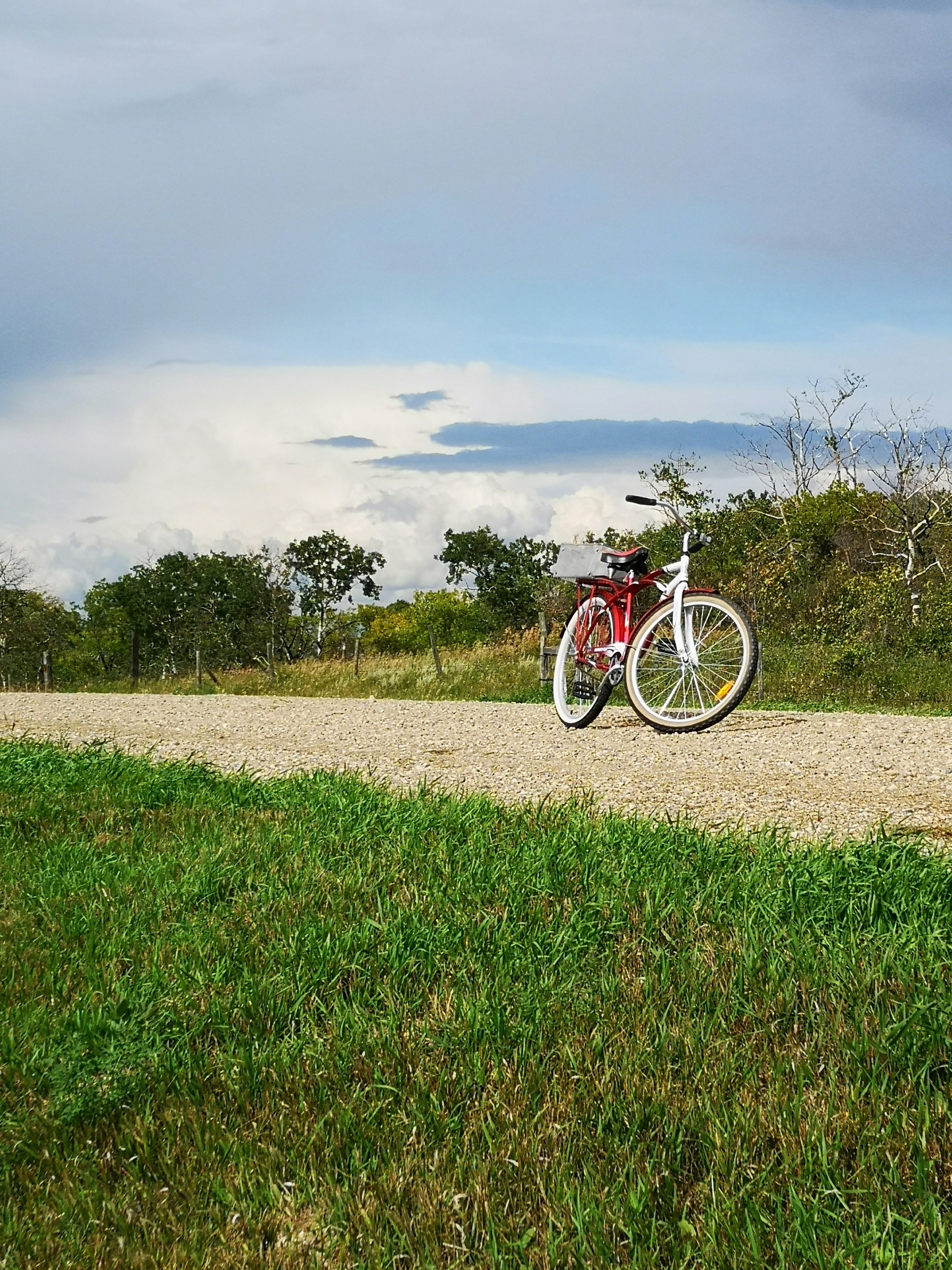 red and black bicycle on green grass field under white clouds during daytime