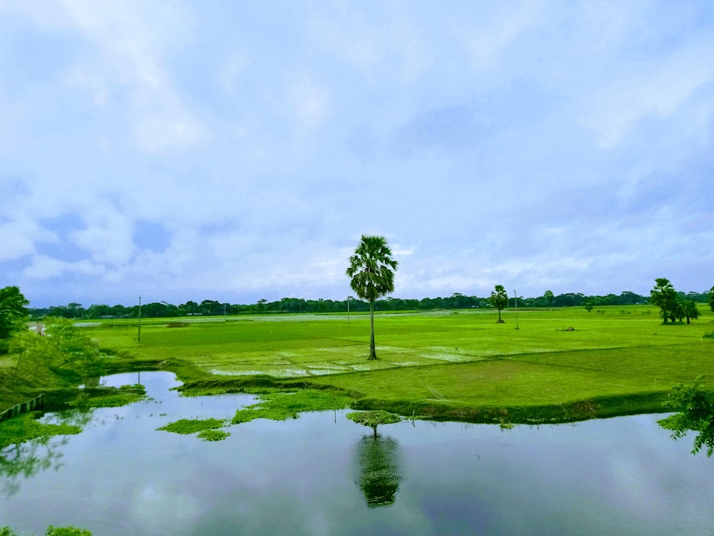 Grünes Grasfeld in Seenähe tagsüber unter weißen Wolken