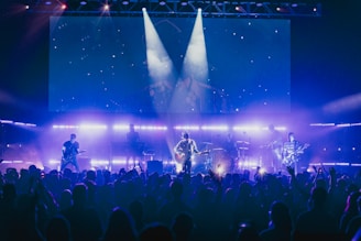 people watching concert during night time