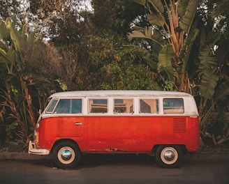 red and white volkswagen t-2 van parked beside green palm tree during daytime