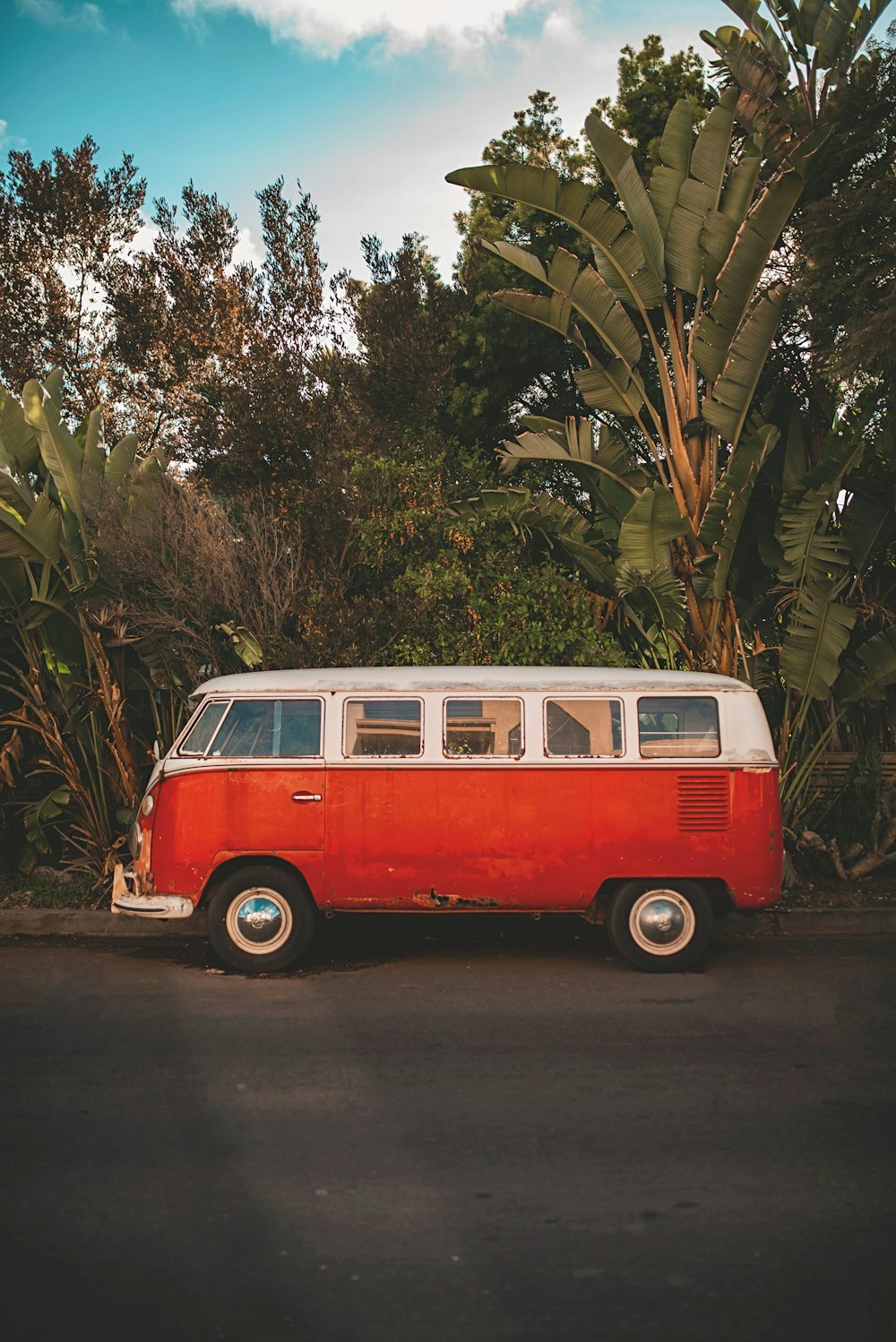 Fourgonnette Volkswagen T-2 rouge et blanche garée à côté d’un palmier vert pendant la journée