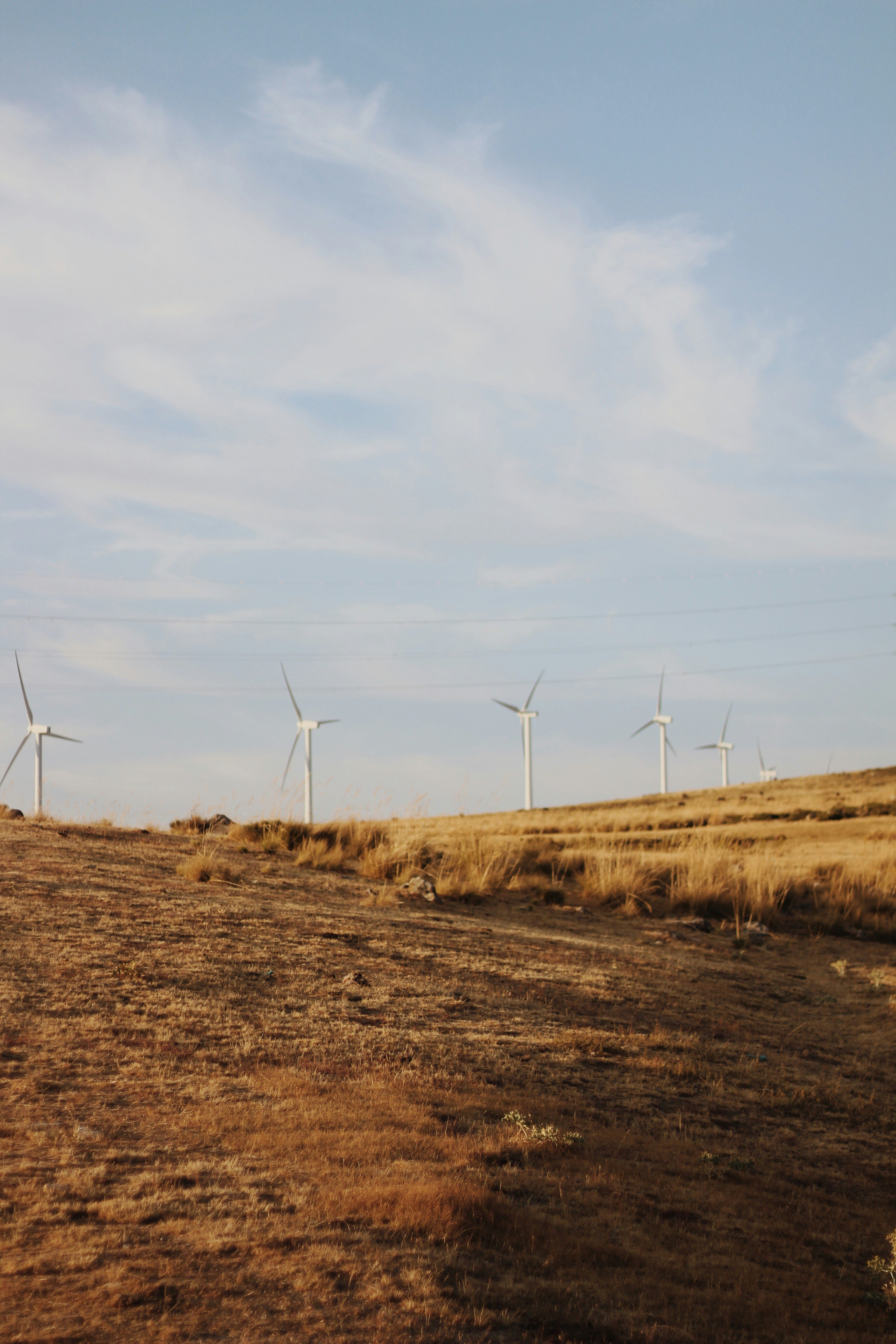 Photo by davidalvarez_16