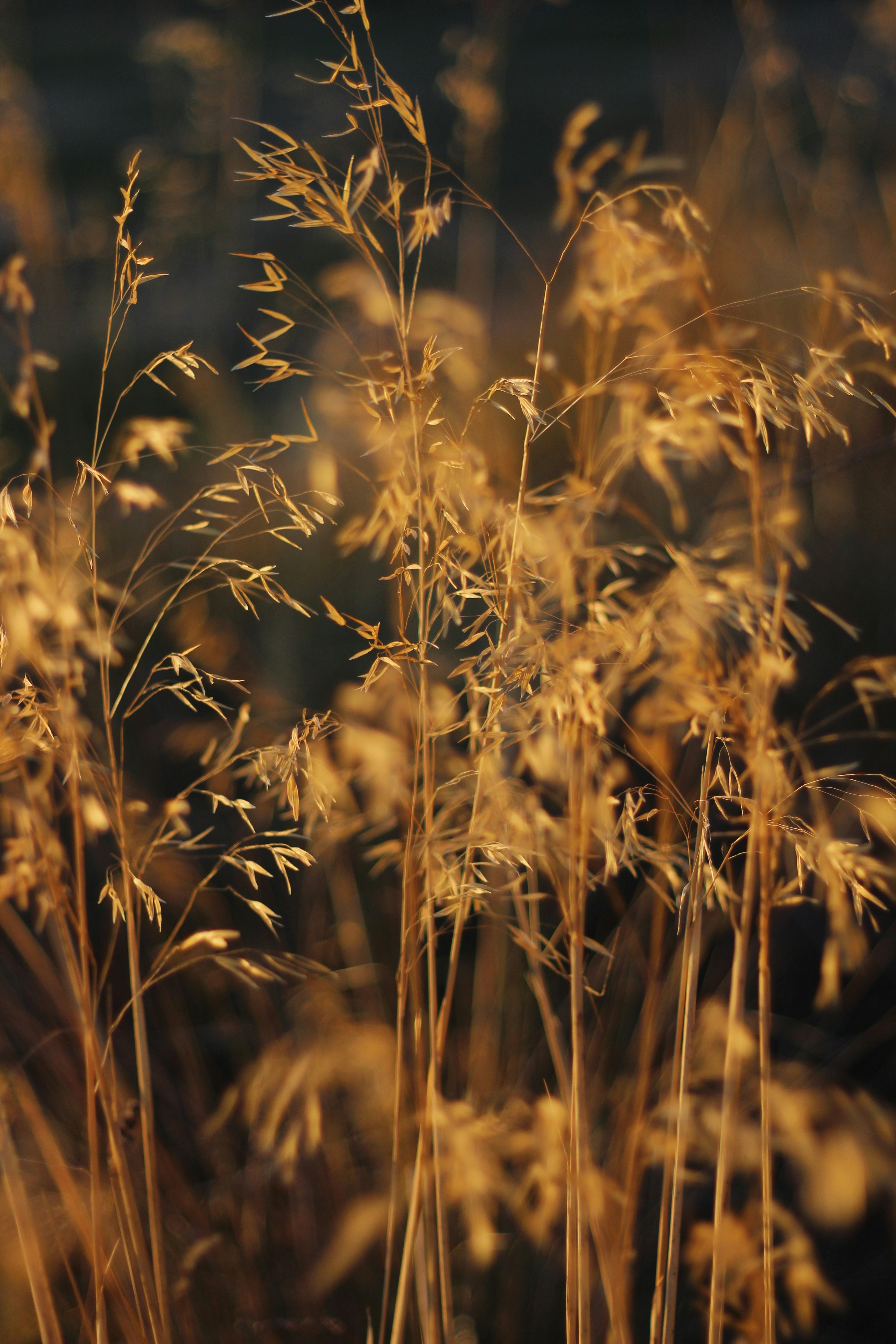 Photo by davidalvarez_16