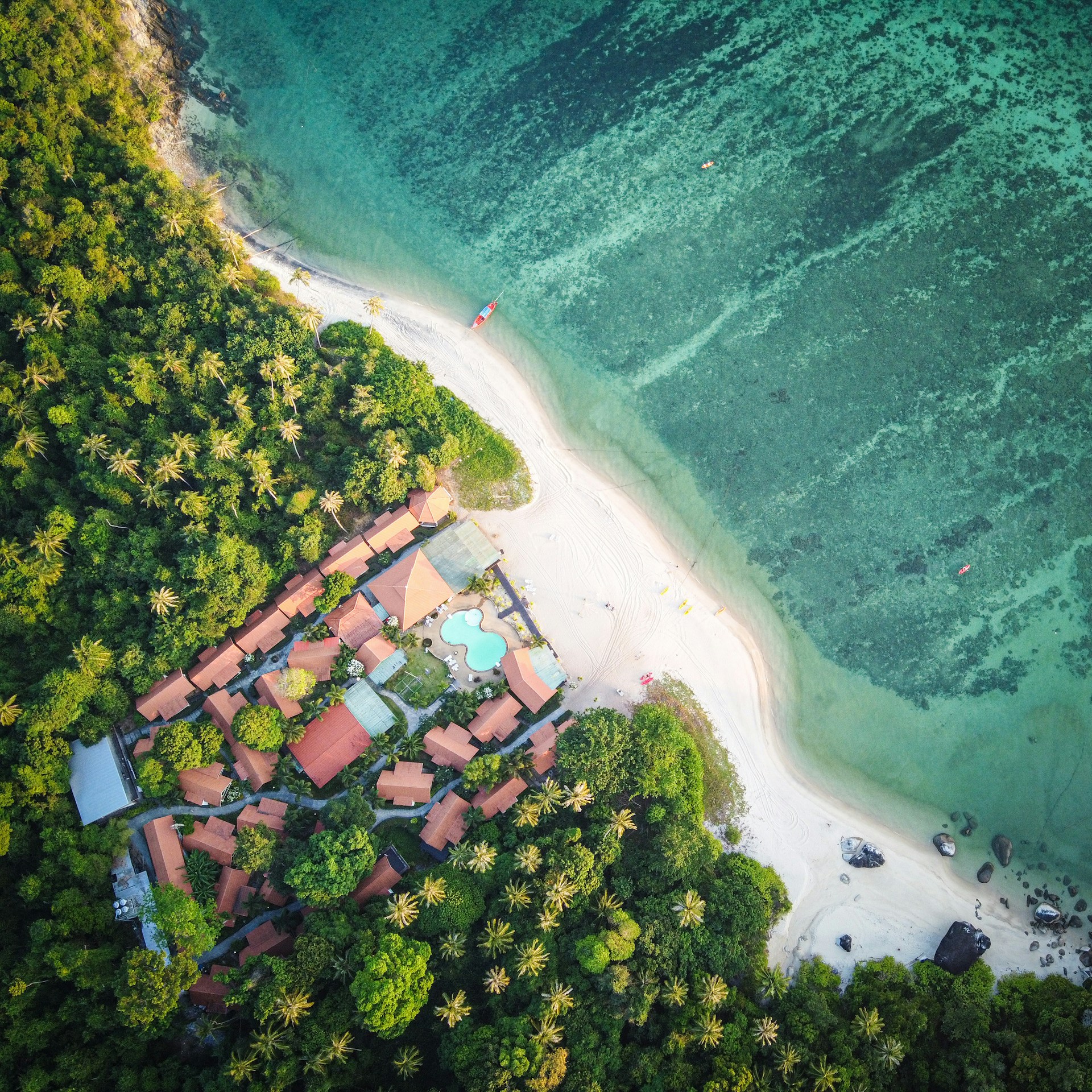 aerial view of green trees and houses near body of water during daytime