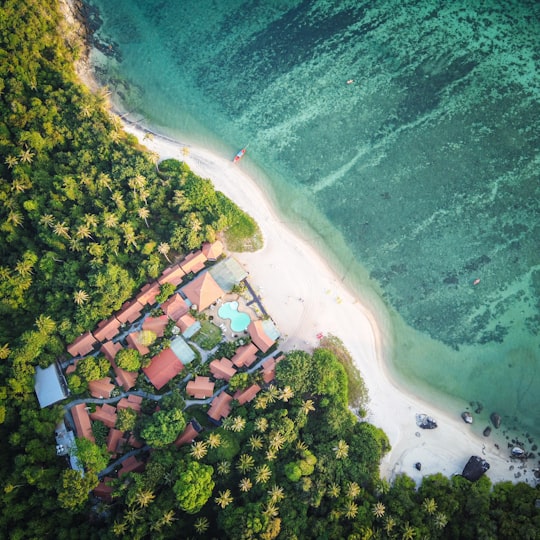 aerial view of green trees and houses near body of water during daytime in Ko Adang Thailand