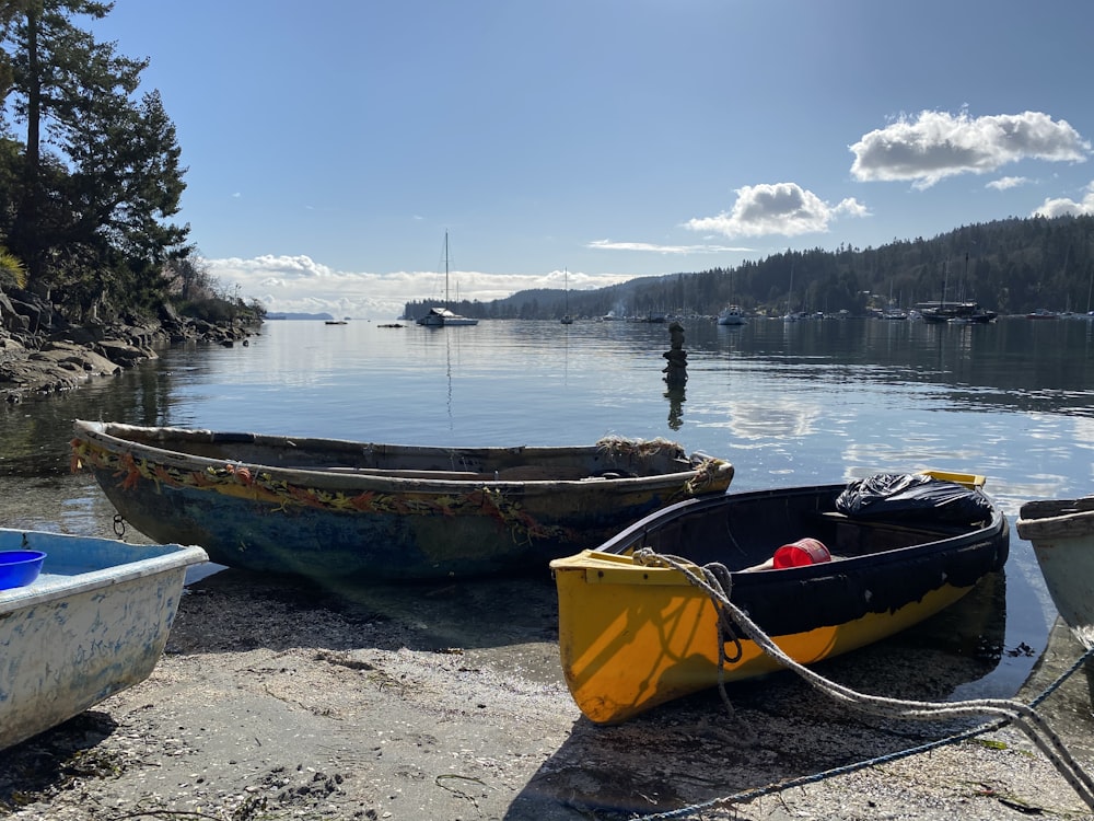 brown and black boat on beach shore during daytime