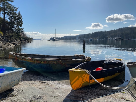brown and black boat on beach shore during daytime in Salt Spring Island Canada