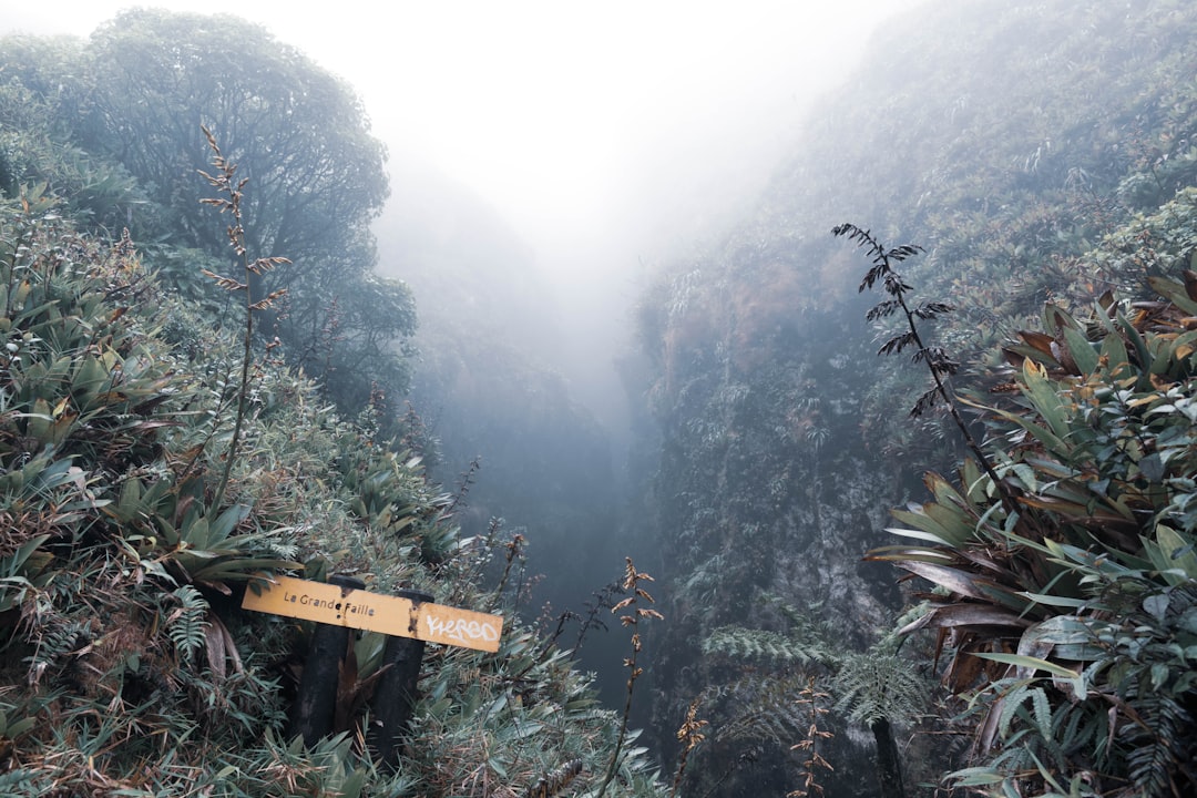 Uncovering My Roots: How a Trip to Guadeloupe Reconnected Me with M… — Uncovering My Roots, photo 4