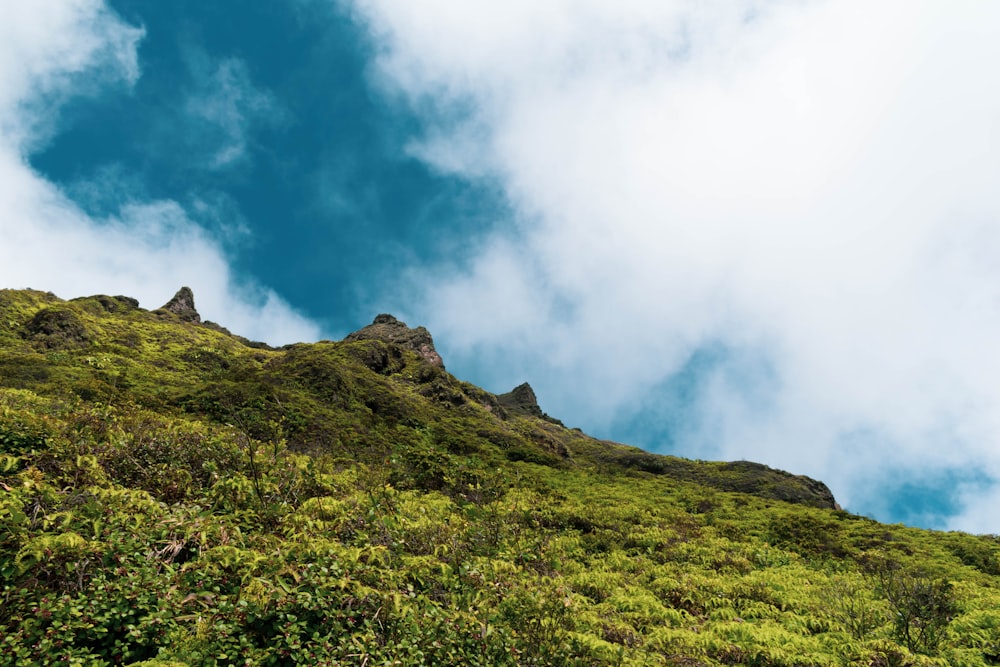 green grass field on mountain under white clouds during daytime