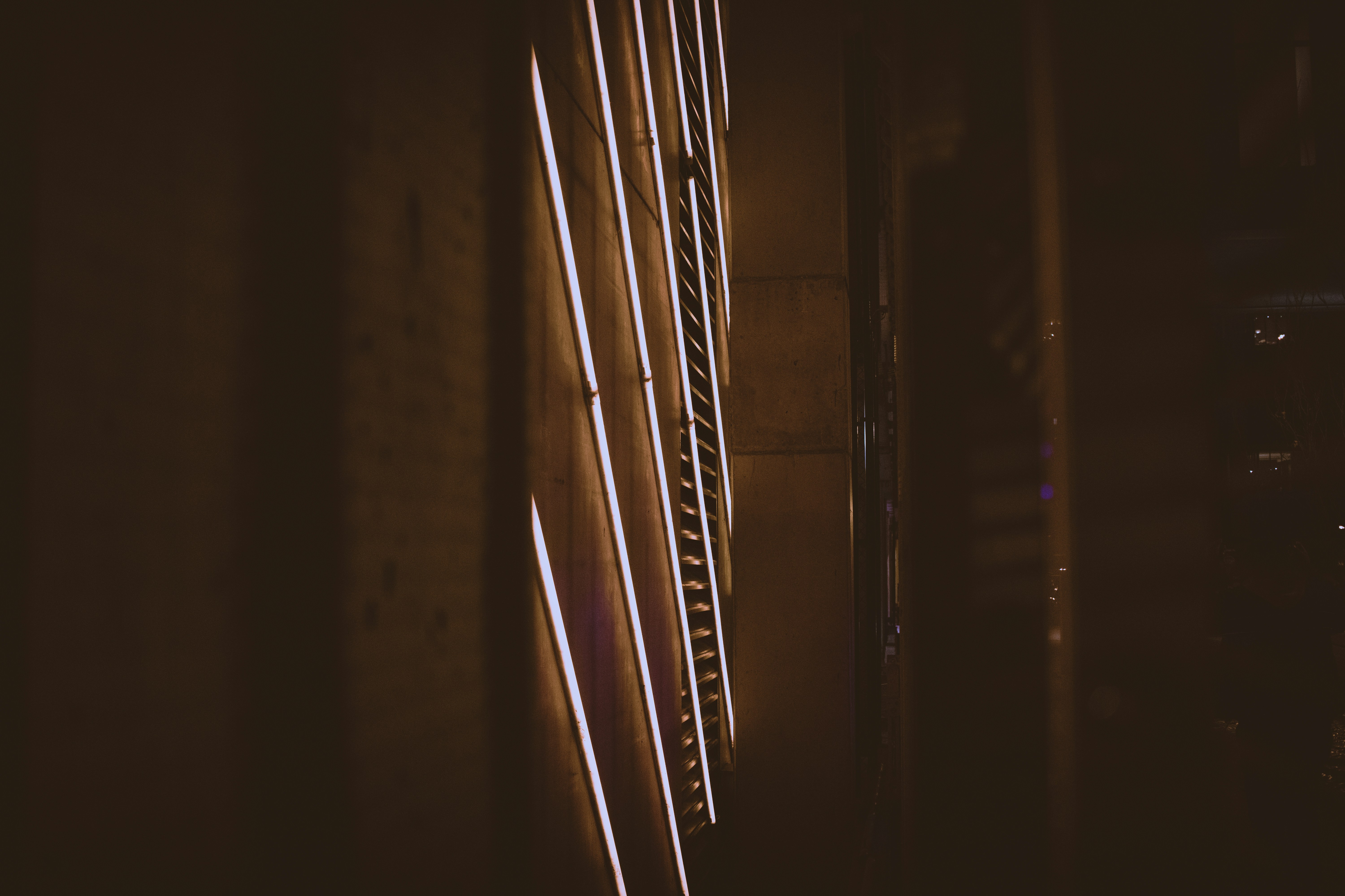 Photo by dotthevisionary