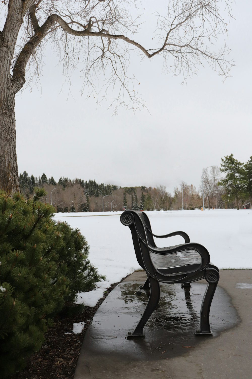 black metal bench on gray concrete floor near body of water during daytime