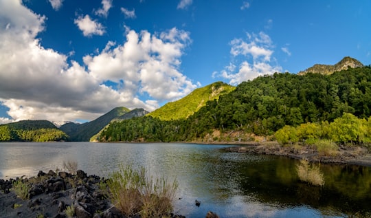 green mountain beside body of water under blue sky during daytime in Laguna Conguillio Chile