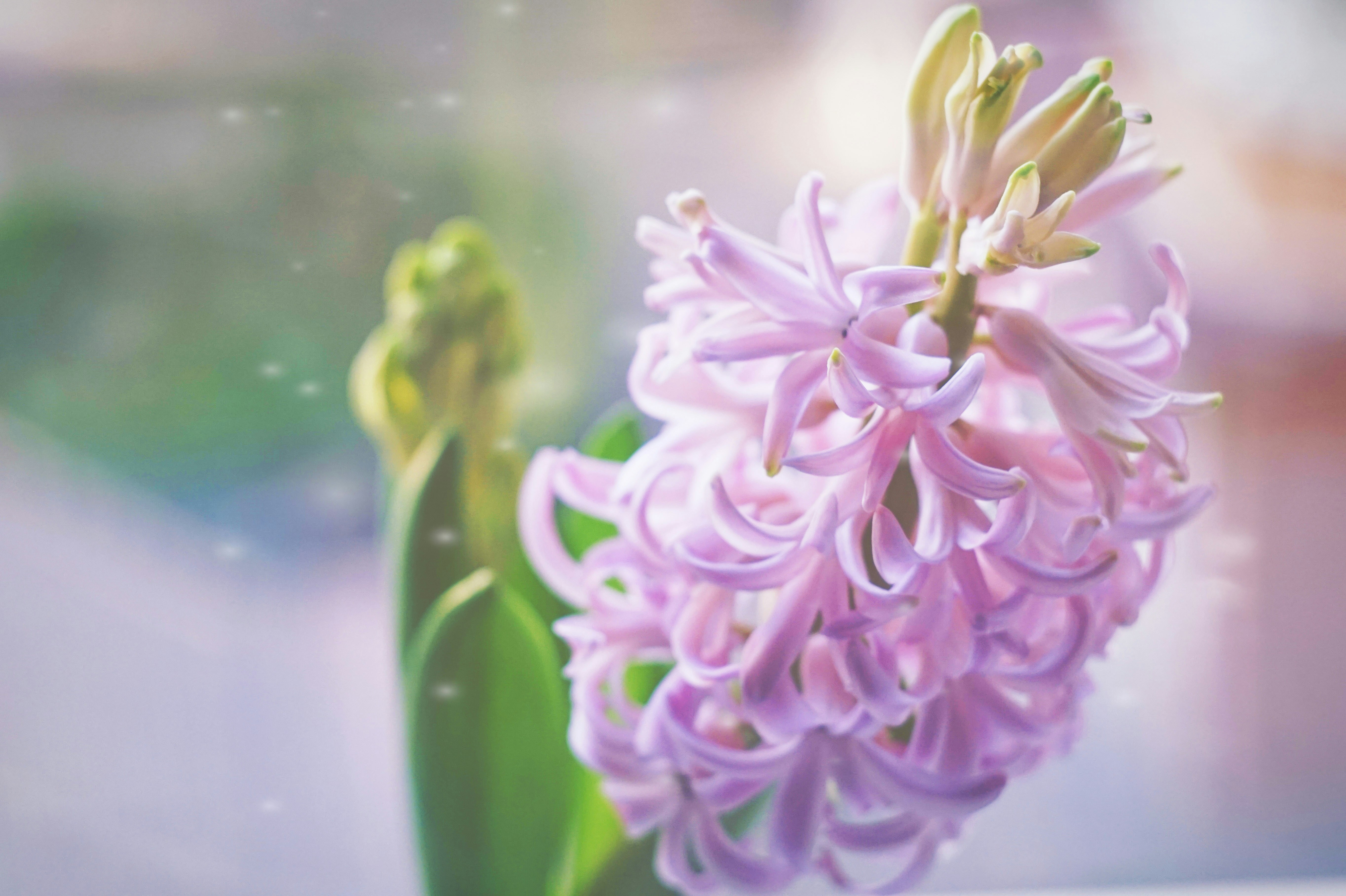 Photo by olesya24