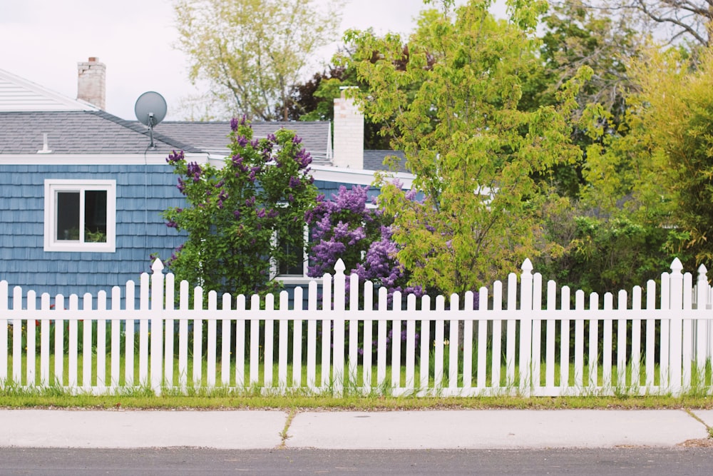 white wooden fence near green trees during daytime