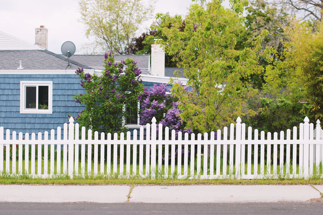 White picket fence in front of a blue house with flowering shrubs