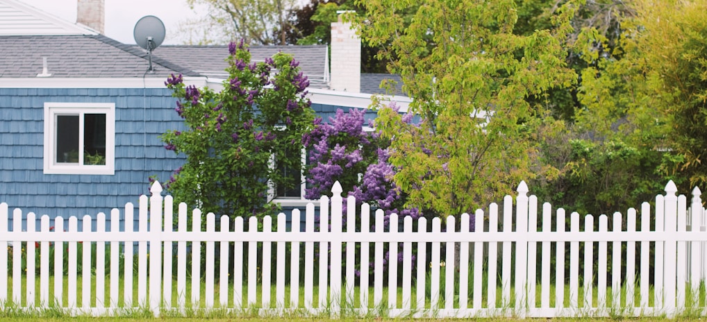 white wooden fence near green trees during daytime