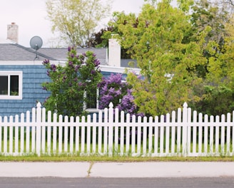 white wooden fence near green trees during daytime