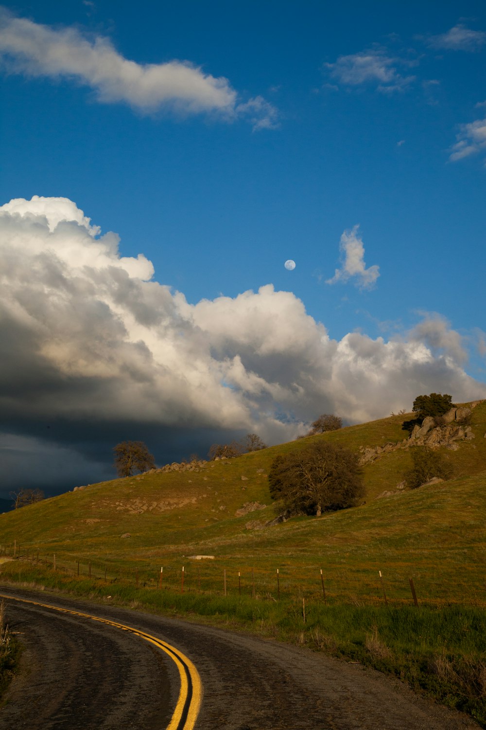 green grass field under blue sky and white clouds during daytime