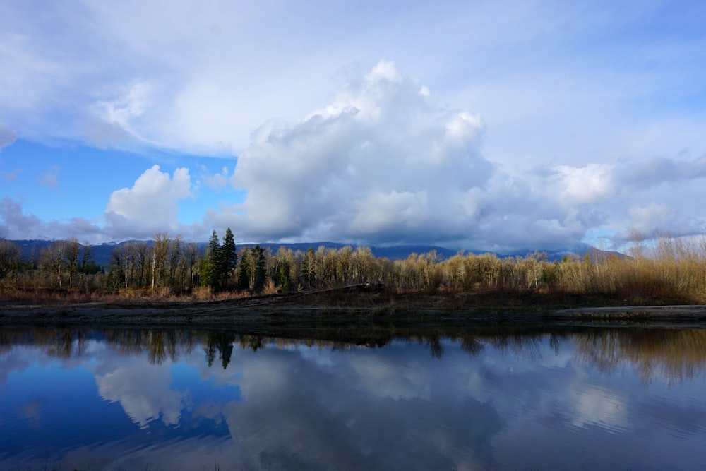 green trees beside lake under white clouds and blue sky during daytime