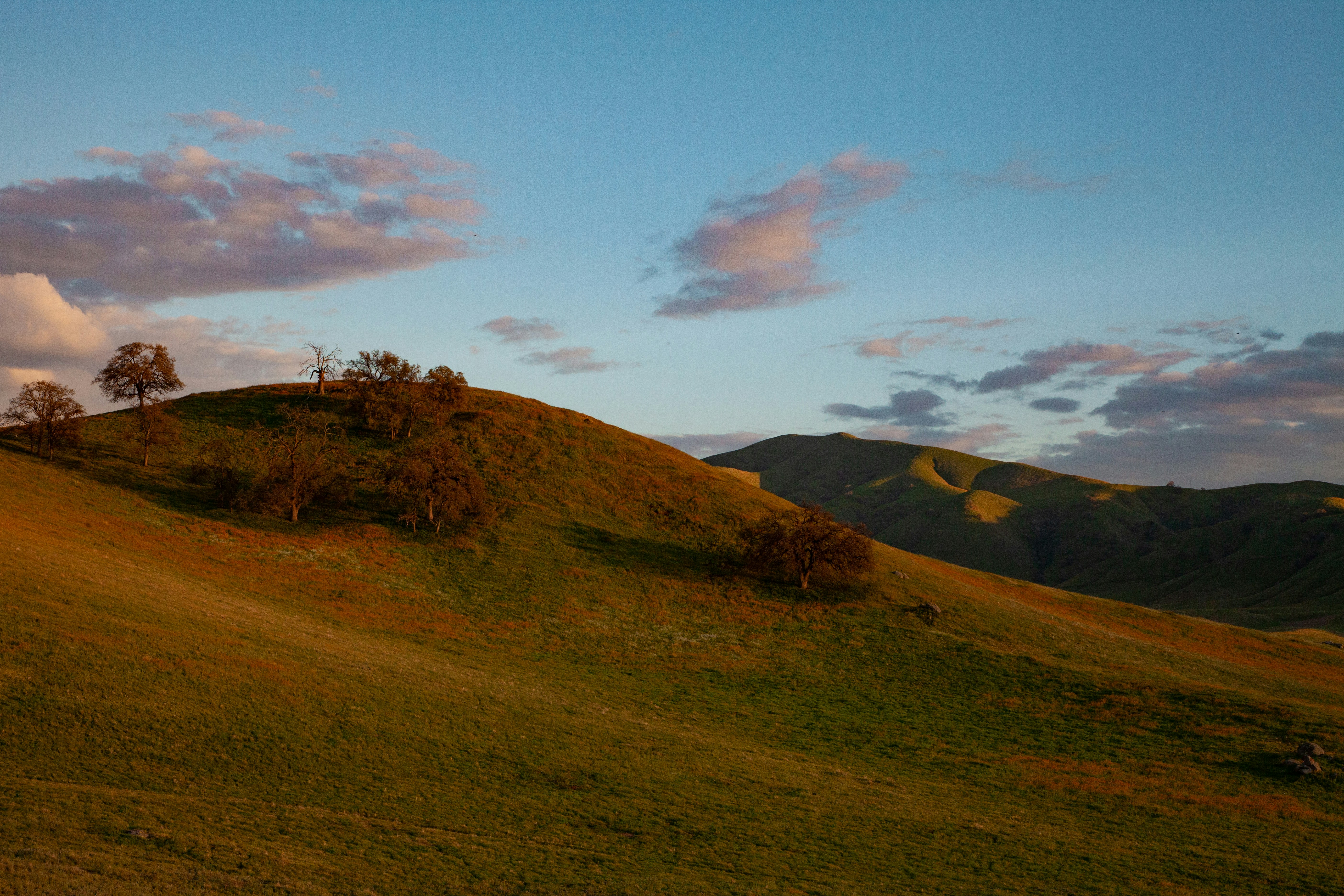 Photo by capturedbyjavi