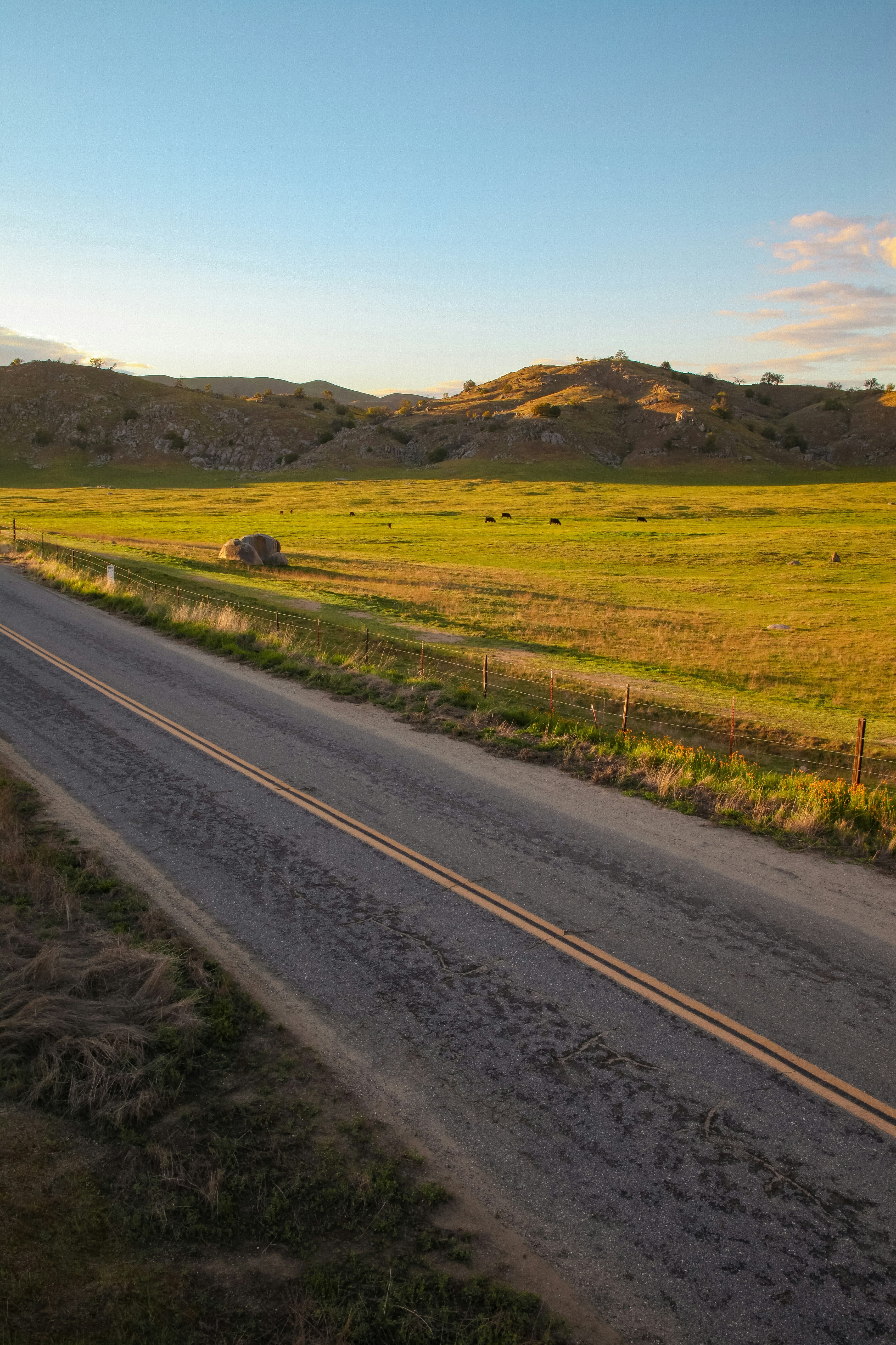 Photo by capturedbyjavi