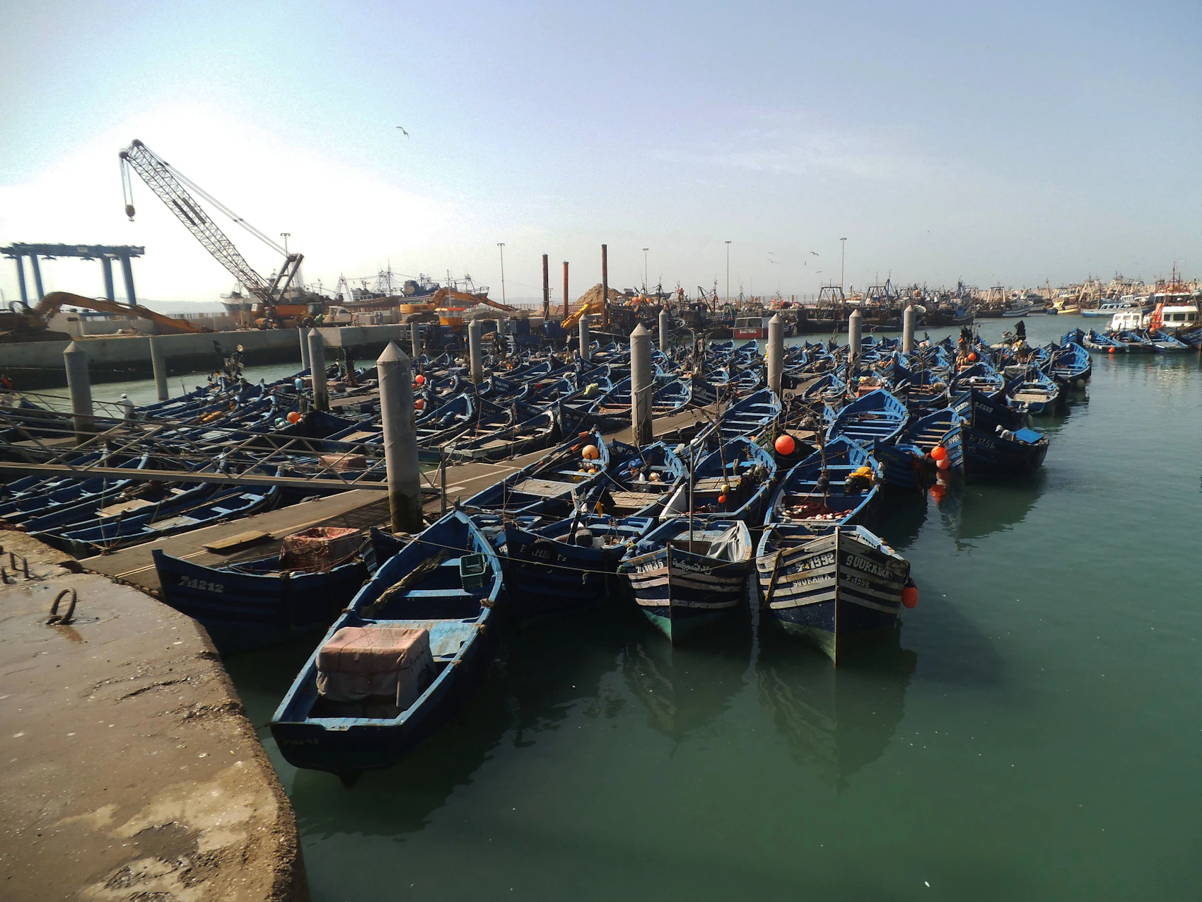 Blue fishing boats gathered in the harbour at Essaouira