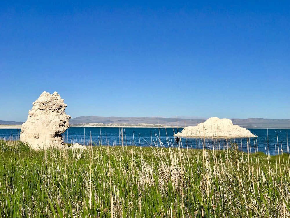 white rock formation near green grass field during daytime